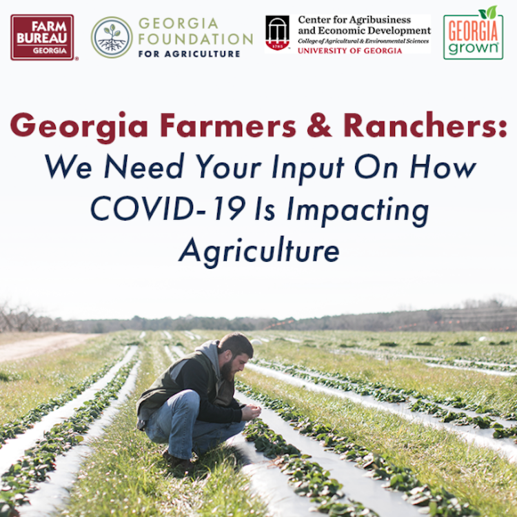 GFB, ag partners ask Georgia farmers to take COVID-19 impact survey